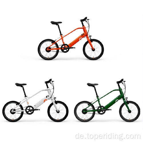 Heckmotor -Elektrombike -Fahrrad